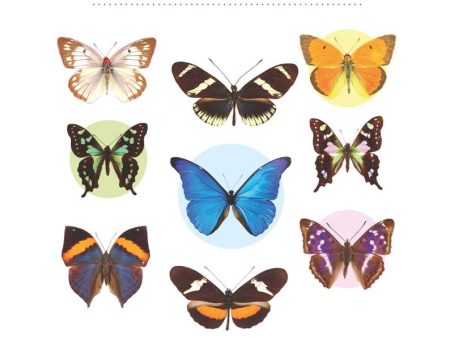 Butterfly Affirmations Deck  Author: Alana Fairchild Supply