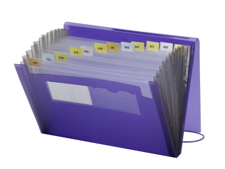 Poly Expanding Files with Flap, 12 Pockets For Sale