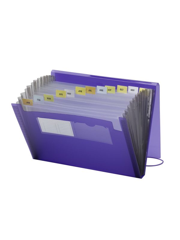 Poly Expanding Files with Flap, 12 Pockets For Sale