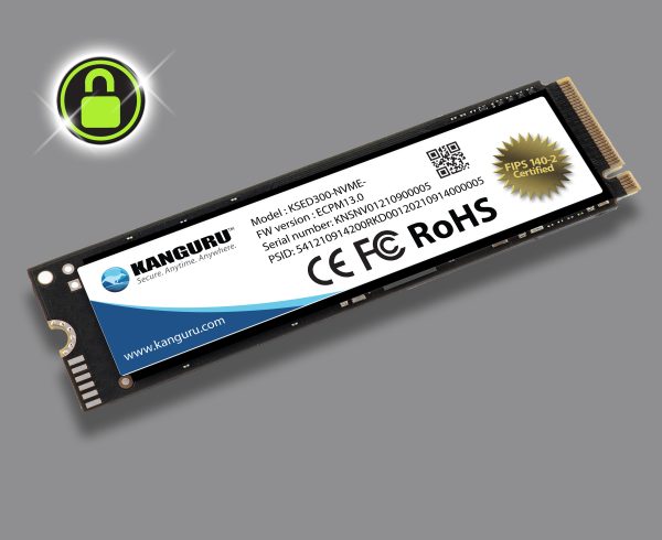 Kanguru Defender® SED300™ FIPS 140-2 Certified, M.2 NVMe Internal Self-Encrypting Solid State Drive Hot on Sale