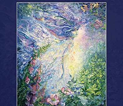 Enchanted Fairies Coloring Book     By: Josephine Wall Fashion