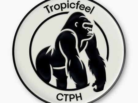 CTPH Foundation Pin For Cheap