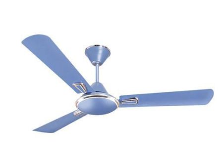 Havells 1200 mm Festiva Ceiling Fan Hot on Sale